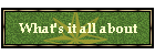 What's it all about ?